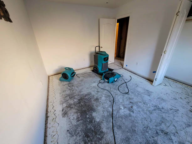 Best Water damage contractors near me  in Carlisle, KY