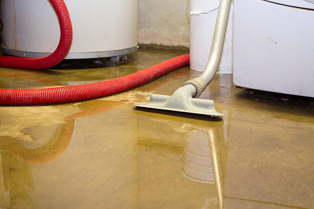 Best Water damage restoration company  in Carlisle, KY