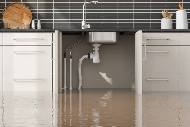 Best Carpet water damage restoration  in Carlisle, KY