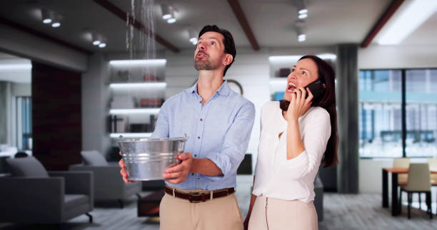 Best Water damage contractors near me  in Carlisle, KY