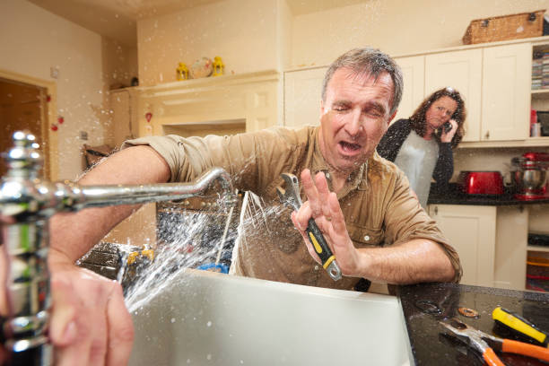 Best Sewage cleanup and water damage restoration  in Carlisle, KY